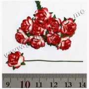 Роза красно-белая, 1 см, 1 шт