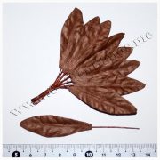 Лист большой коричневый