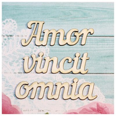 Amor vincit omnia (лат. Любовь побеждает всё)