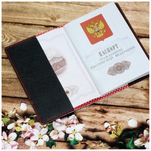 МК обложка на паспорт (21)